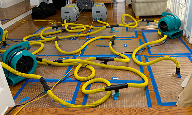 Professional Sewage Cleanup technician working in Hilham, TN